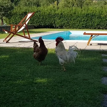 La Bandita * Cortona